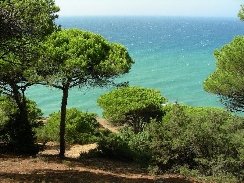 La Aceitera De Trafalgar Barbate Zewnętrze zdjęcie